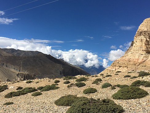 UNADJUSTEDNONRAW_thumb_3b73