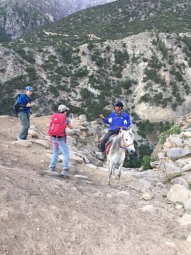 UNADJUSTEDNONRAW_thumb_3bbb