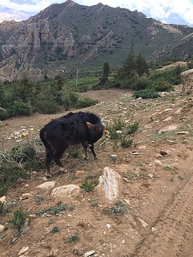 UNADJUSTEDNONRAW_thumb_3bcd