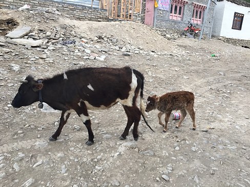 UNADJUSTEDNONRAW_thumb_3bf0