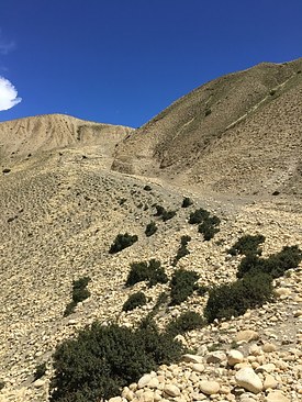 UNADJUSTEDNONRAW_thumb_3c31