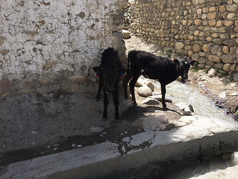 UNADJUSTEDNONRAW_thumb_3c33