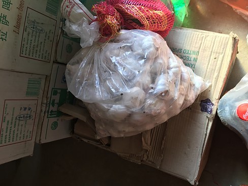 UNADJUSTEDNONRAW_thumb_3cd6