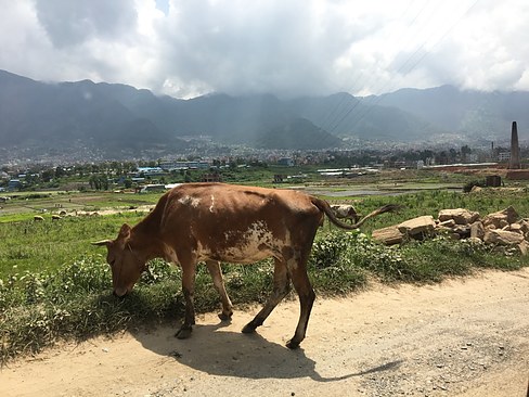 UNADJUSTEDNONRAW_thumb_3a5c