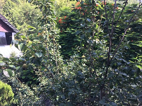 UNADJUSTEDNONRAW_thumb_3a62