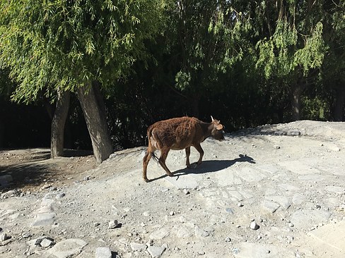 UNADJUSTEDNONRAW_thumb_3a8f