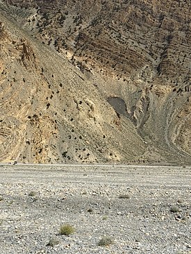 UNADJUSTEDNONRAW_thumb_3a98