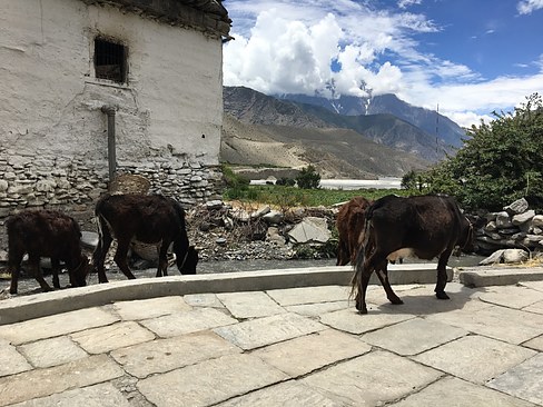 UNADJUSTEDNONRAW_thumb_3ab3