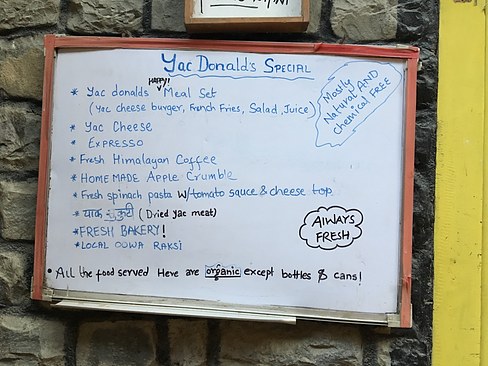 UNADJUSTEDNONRAW_thumb_3ac4