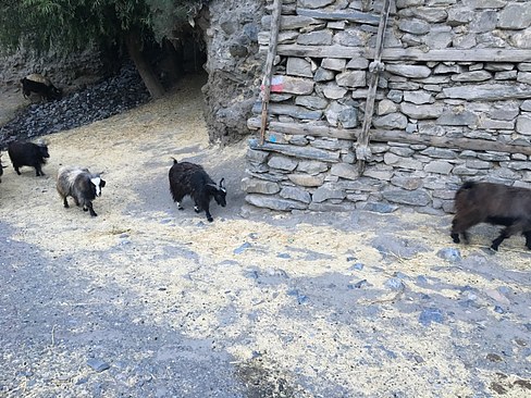 UNADJUSTEDNONRAW_thumb_3ad1