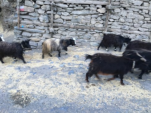 UNADJUSTEDNONRAW_thumb_3ad2