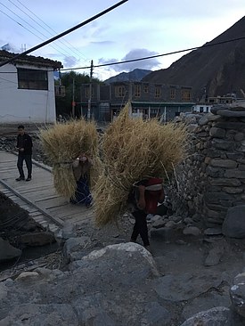 UNADJUSTEDNONRAW_thumb_3ad7