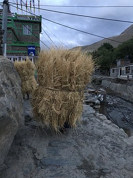 UNADJUSTEDNONRAW_thumb_3ad9