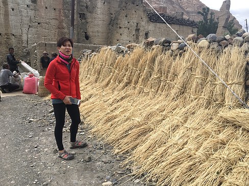 UNADJUSTEDNONRAW_thumb_3b43