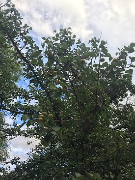 UNADJUSTEDNONRAW_thumb_3b46