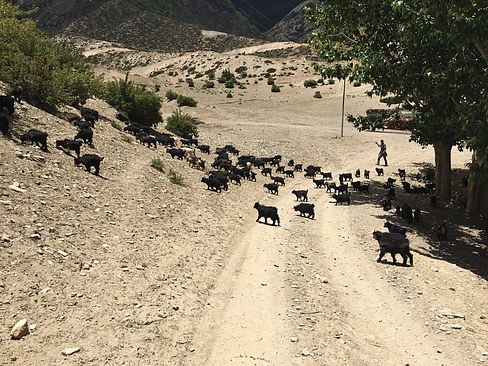 UNADJUSTEDNONRAW_thumb_3b97