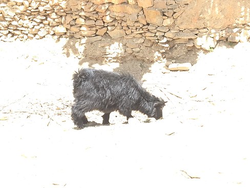 UNADJUSTEDNONRAW_thumb_3b98