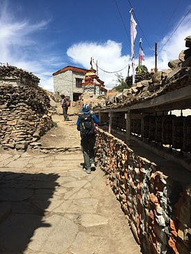 UNADJUSTEDNONRAW_thumb_3ba1