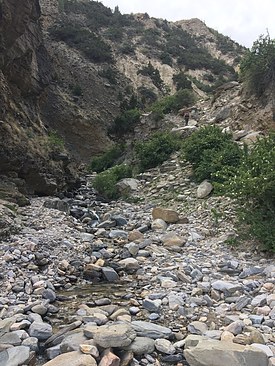 UNADJUSTEDNONRAW_thumb_3bb2