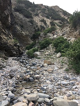 UNADJUSTEDNONRAW_thumb_3bb3