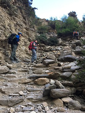 UNADJUSTEDNONRAW_thumb_3bb7