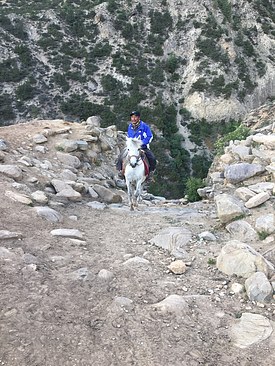 UNADJUSTEDNONRAW_thumb_3bba