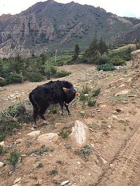 UNADJUSTEDNONRAW_thumb_3bcb