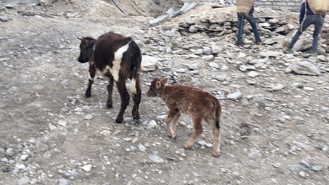 UNADJUSTEDNONRAW_thumb_3bf3