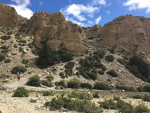 UNADJUSTEDNONRAW_thumb_3bfe