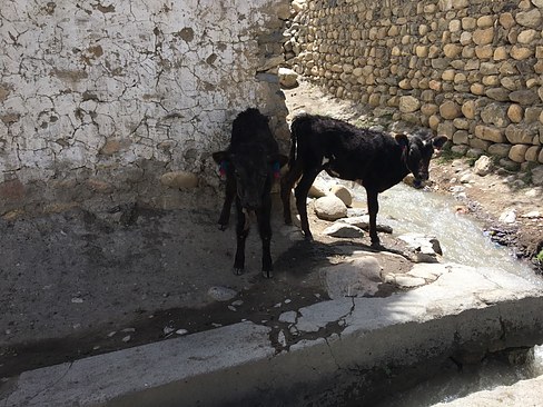 UNADJUSTEDNONRAW_thumb_3c33