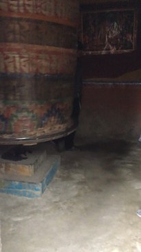 UNADJUSTEDNONRAW_thumb_3c56