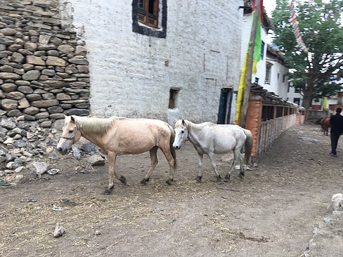 UNADJUSTEDNONRAW_thumb_3c58