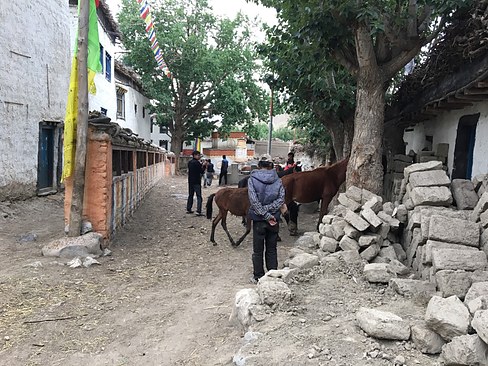 UNADJUSTEDNONRAW_thumb_3c5b