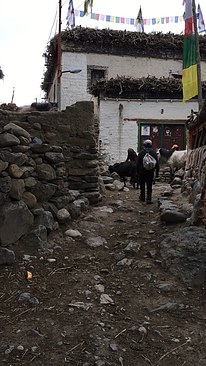 UNADJUSTEDNONRAW_thumb_3c5e