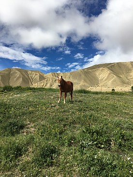 UNADJUSTEDNONRAW_thumb_3c63