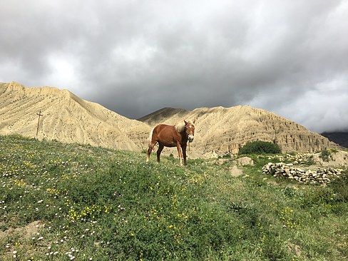 UNADJUSTEDNONRAW_thumb_3c64