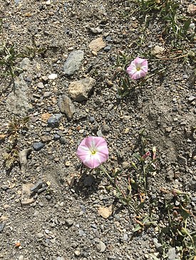 UNADJUSTEDNONRAW_thumb_3c75