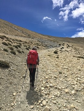 UNADJUSTEDNONRAW_thumb_3c81