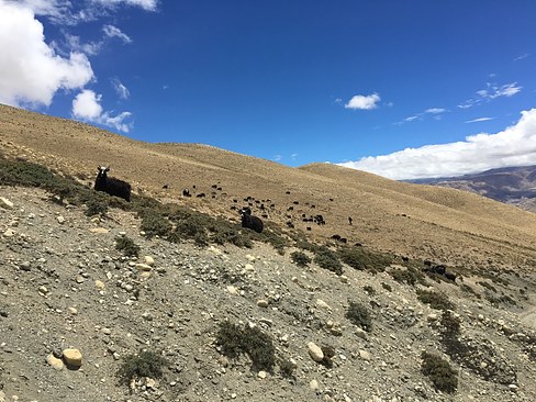 UNADJUSTEDNONRAW_thumb_3c90