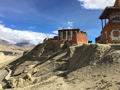 UNADJUSTEDNONRAW_thumb_3cb6