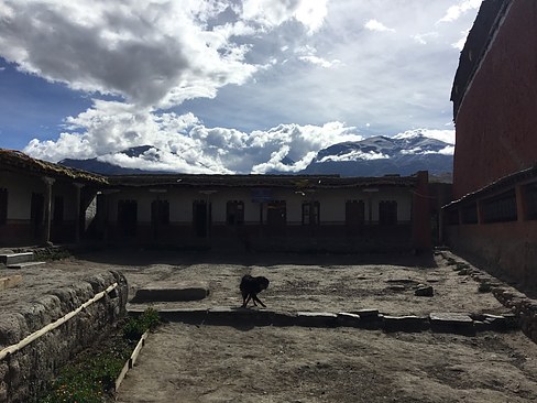 UNADJUSTEDNONRAW_thumb_3cbf