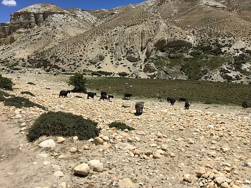 UNADJUSTEDNONRAW_thumb_3d04