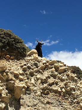 UNADJUSTEDNONRAW_thumb_3d07