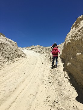 UNADJUSTEDNONRAW_thumb_3d0e