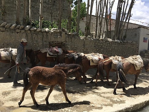 UNADJUSTEDNONRAW_thumb_3d2b