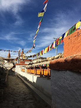 UNADJUSTEDNONRAW_thumb_3d40