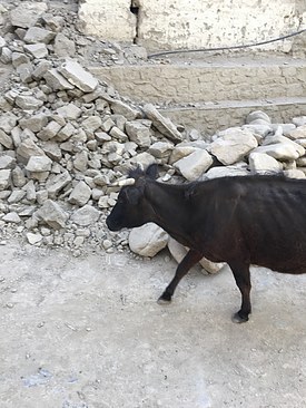 UNADJUSTEDNONRAW_thumb_3d48