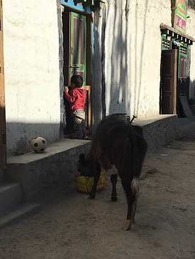 UNADJUSTEDNONRAW_thumb_3d4a