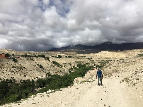 UNADJUSTEDNONRAW_thumb_3d53