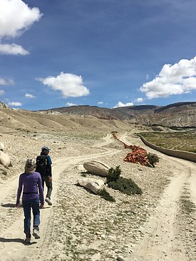 UNADJUSTEDNONRAW_thumb_3d5c